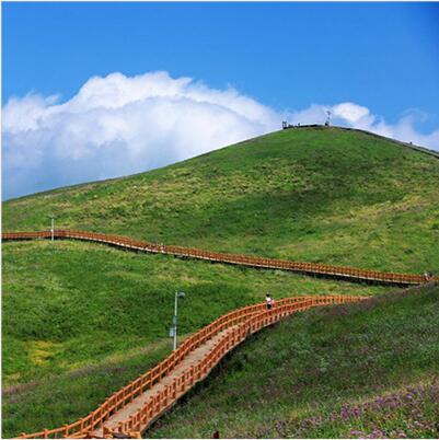 业务领域：丛林防火规划、国度公园规划、天然；で婊⑻烊灰挪毓婊