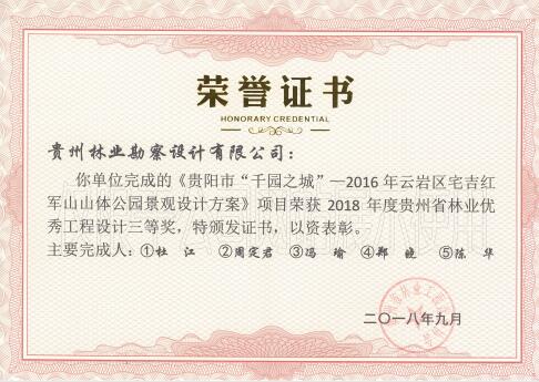 15-24-020764-200041885