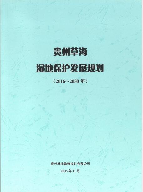 13-45-110638-243878531